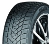 DELINTE WINTER WD1