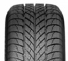 PAXARO INVERNO XL FR
