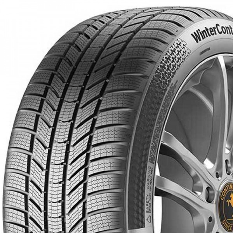 WinterContact TS870P ContiSeal